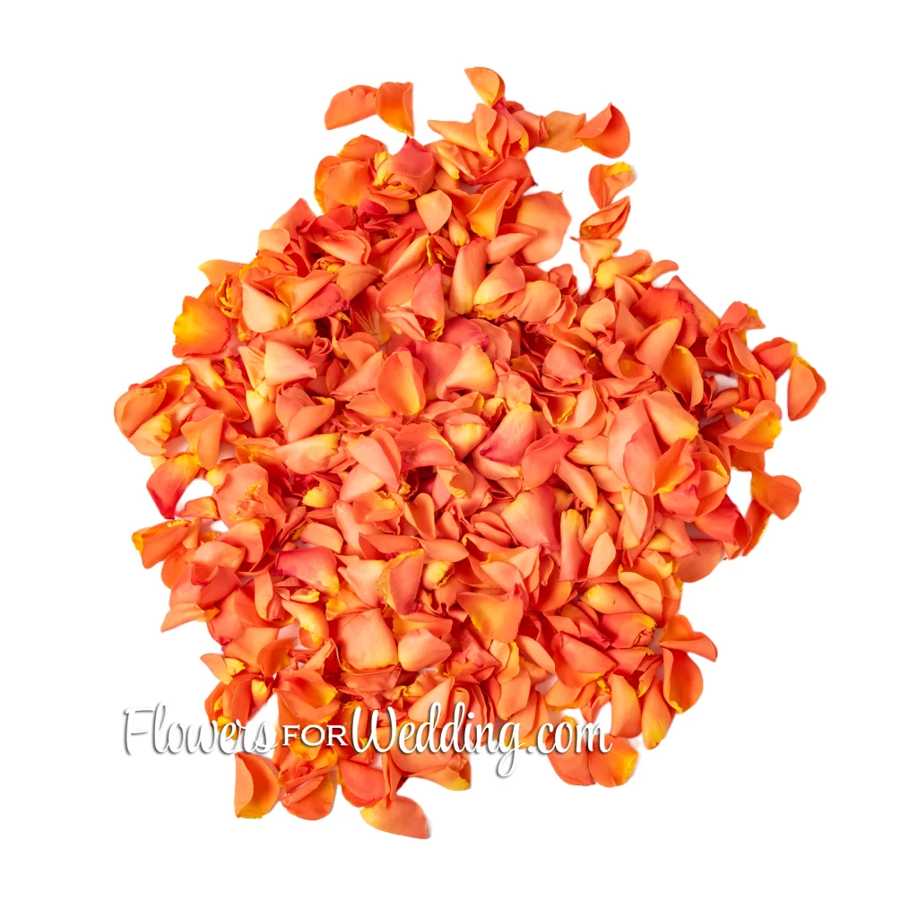 orange petals pile