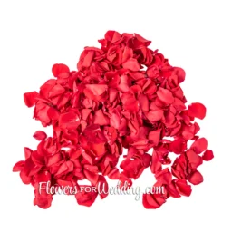 red petals pile