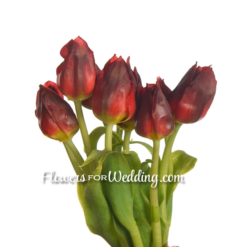 tulip-red-bunch-side